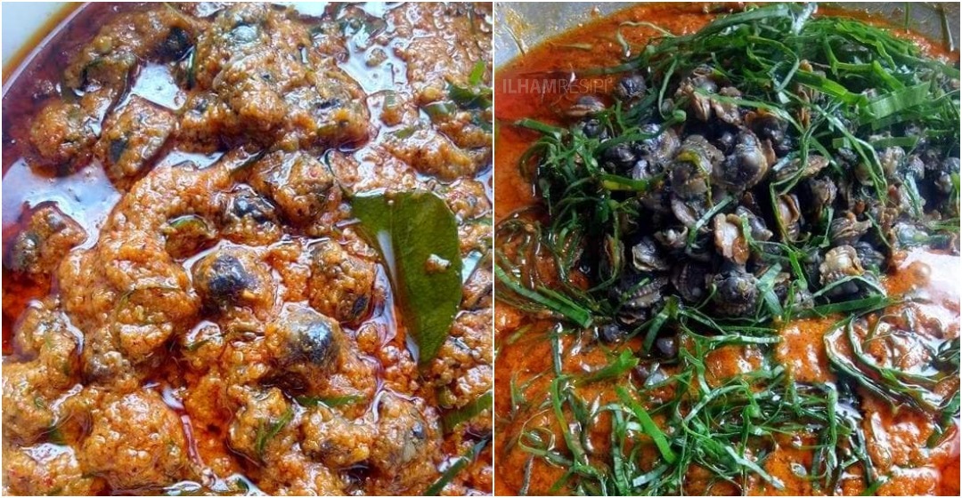 Cara Masak Kerang Kijing Life is colorful Kerang Rebus Cara Masak Kerang Kijing Life is colorful Kerang Rebus